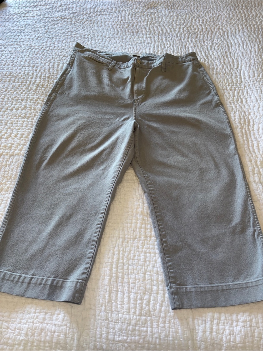 Madewell Curvy Slim Emmett Wide-Leg EUC Crop Pants Blue/Gray 36 Cotton Blend